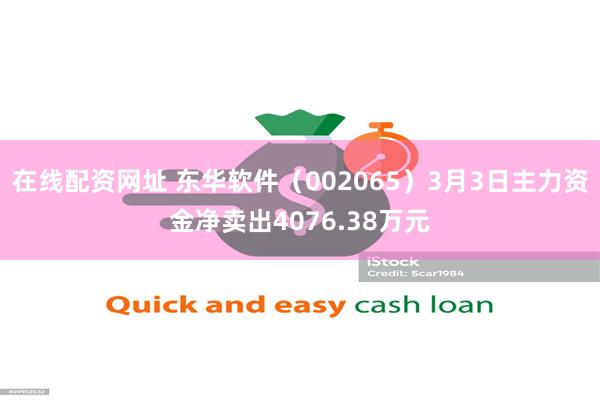 在线配资网址 东华软件（002065）3月3日主力资金净卖出4076.38万元