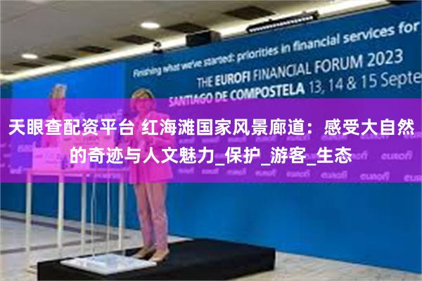天眼查配资平台 红海滩国家风景廊道：感受大自然的奇迹与人文魅力_保护_游客_生态