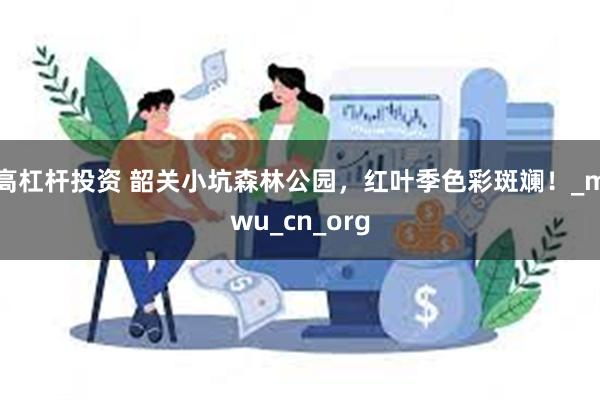 高杠杆投资 韶关小坑森林公园，红叶季色彩斑斓！_mwu_cn_org
