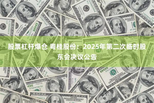 股票杠杆爆仓 粤桂股份：2025年第二次临时股东会决议公告