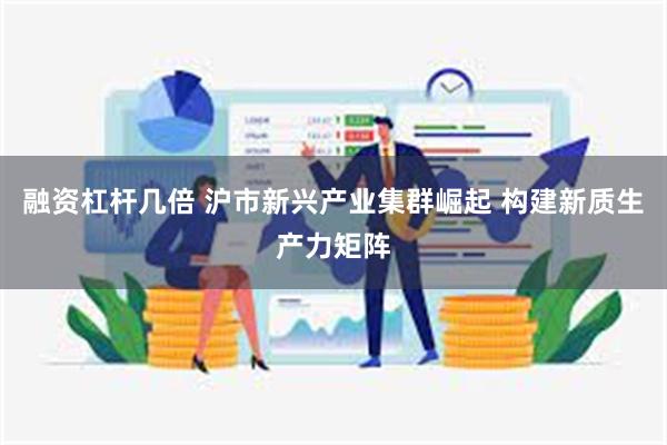 融资杠杆几倍 沪市新兴产业集群崛起 构建新质生产力矩阵