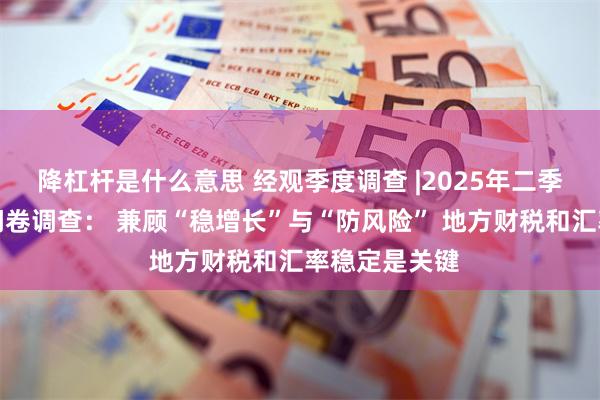 降杠杆是什么意思 经观季度调查 |2025年二季度经济学人问卷调查： 兼顾“稳增长”与“防风险” 地方财税和汇率稳定是关键