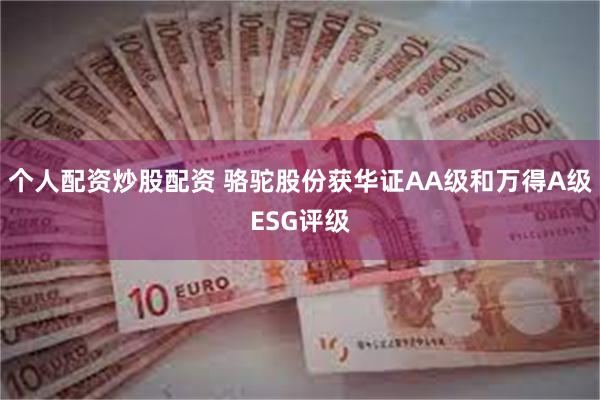 个人配资炒股配资 骆驼股份获华证AA级和万得A级ESG评级