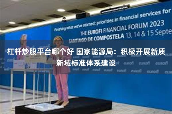 杠杆炒股平台哪个好 国家能源局：积极开展新质新域标准体系建设