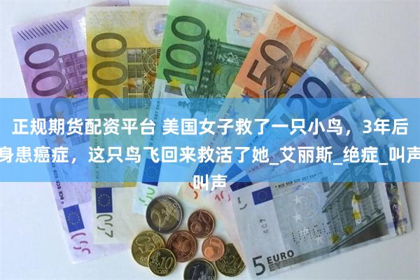正规期货配资平台 美国女子救了一只小鸟，3年后身患癌症，这只鸟飞回来救活了她_艾丽斯_绝症_叫声