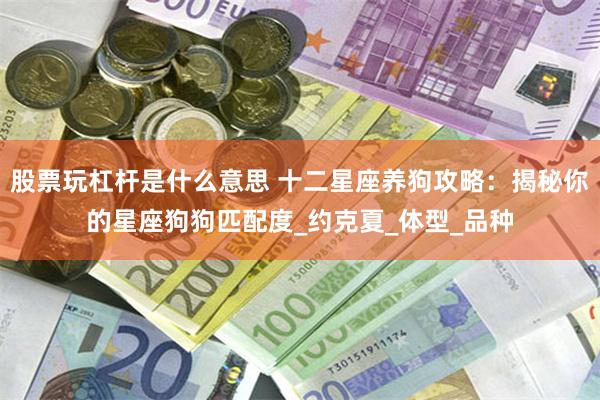 股票玩杠杆是什么意思 十二星座养狗攻略：揭秘你的星座狗狗匹配度_约克夏_体型_品种