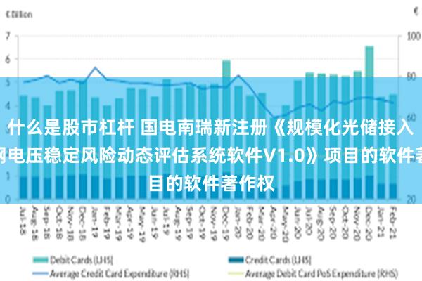 什么是股市杠杆 国电南瑞新注册《规模化光储接入弱电网电压稳定风险动态评估系统软件V1.0》项目的软件著作权