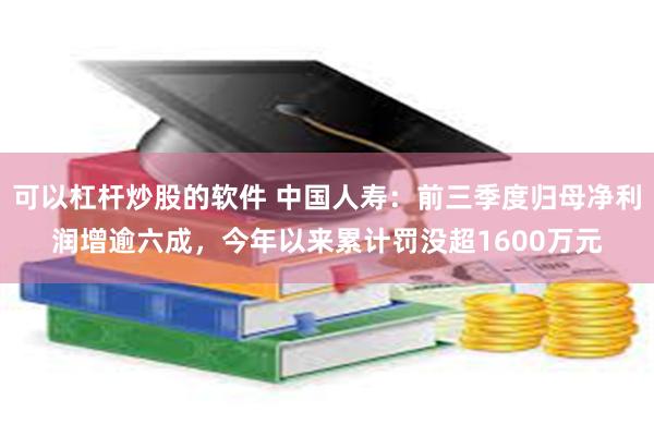 可以杠杆炒股的软件 中国人寿:前三季度归母净利润增逾六成,今年以来累计罚没超1600万元